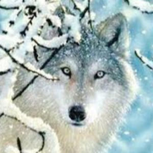 savanahmiller avatar