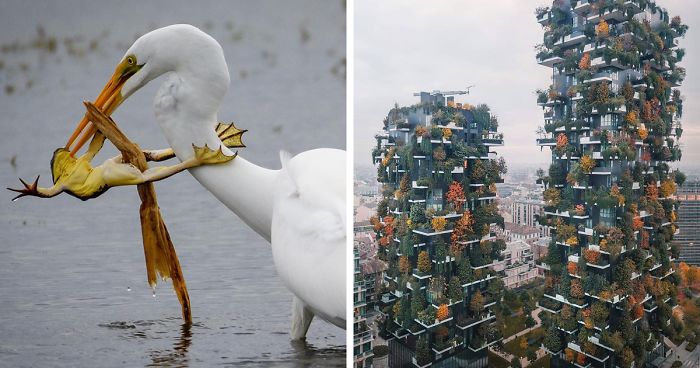 Top 30 Most Stunning Photos From The National Geographic Instagram Photography Contest