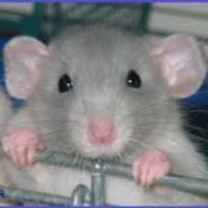 desiraeatterberry_1 avatar