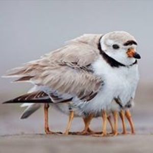 colleen_myers avatar