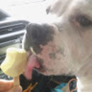 lindabertucci avatar