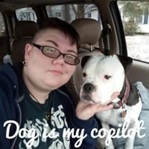 danceswithbeefalo avatar