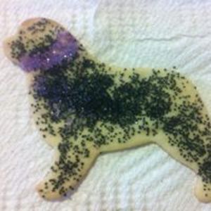 dougiefrank2010 avatar