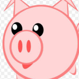 niteshreddymedapati avatar