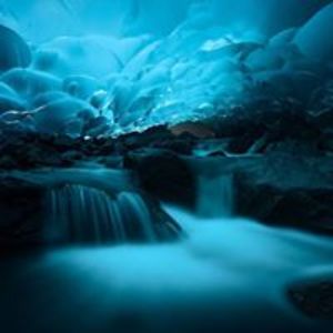 susandejong2003 avatar