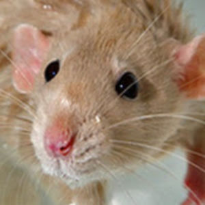 wendytanneberger avatar