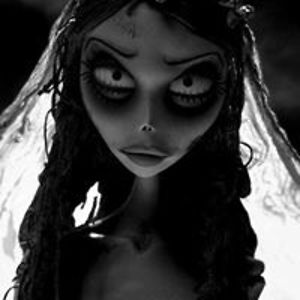 manndy_rybicka avatar