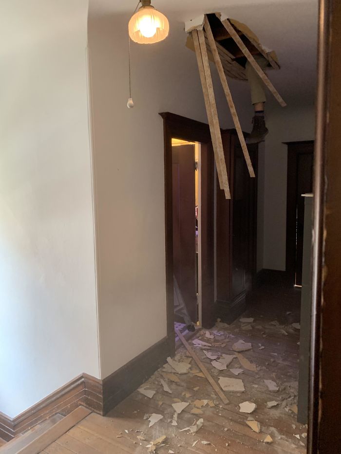 The Insurance Adjuster Fell Through My Dad's Ceiling