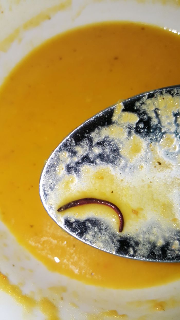 Found A Worm In My Lunch