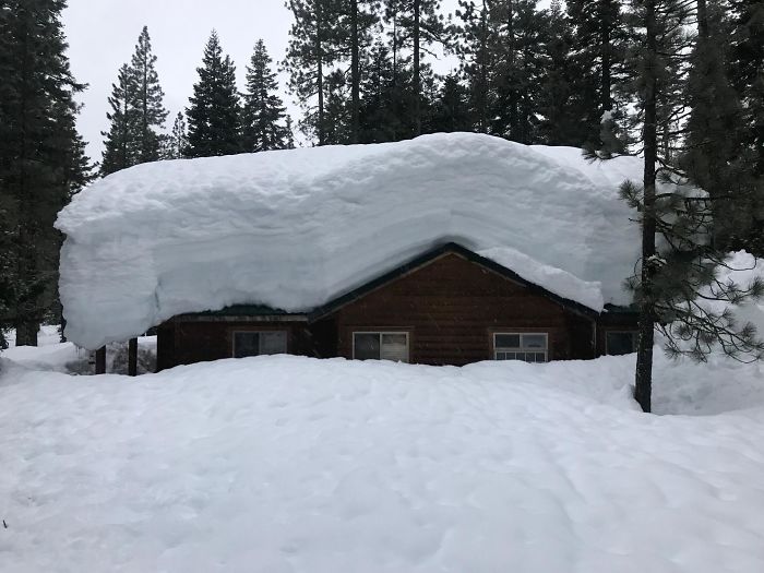 My Brother's Cabin (Which Is Now His Home In The Midst Of A Nasty Divorce) In Northern CA. Took Him 5 Miles On A Snow Mobile To Find This After Leaving Town For A Week