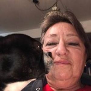 darlenbear955 avatar