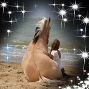 julia_alexandra12 avatar