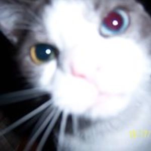 freewaybaby77802 avatar