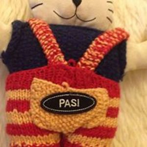 perankoskipaivi avatar