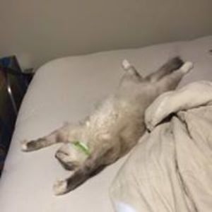 erikacharisma avatar