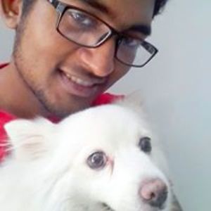 franktheman149 avatar