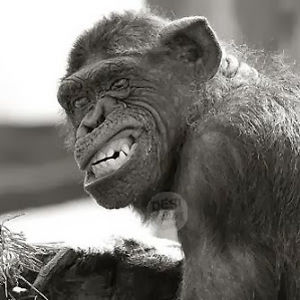 benjaminseward avatar