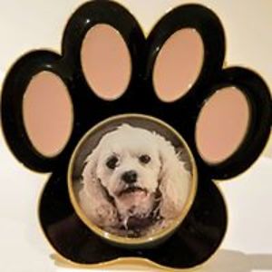 michellegellison avatar