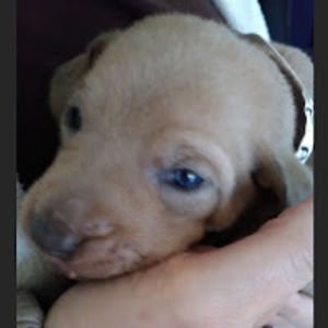 aliceclaassen avatar