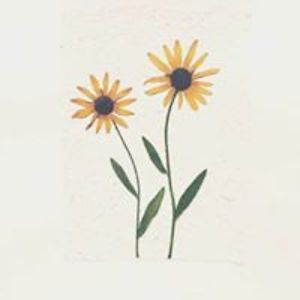 dantuyenpham017 avatar