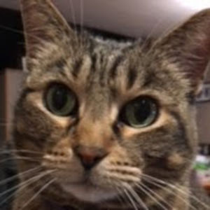 marieharrison_1 avatar