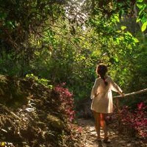 braveheartwanderer avatar