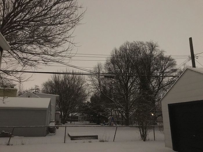 It's 11 Pm And The Snow Is Making It Look Like Daytime Outside. No Flash Used