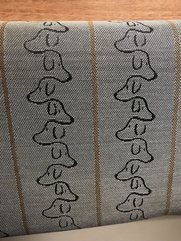 This Dog Pattern On The Seats At Our Local Veterinarians Office