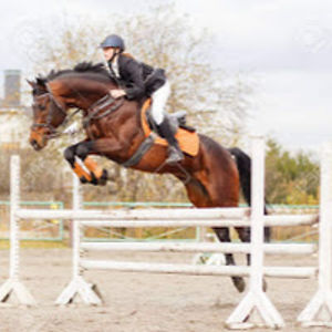 madilynroberts avatar