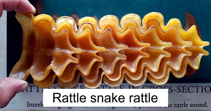 Here Are 30 Photos Of Objects Cut In Half That Reveal The Unseen Side Of Things