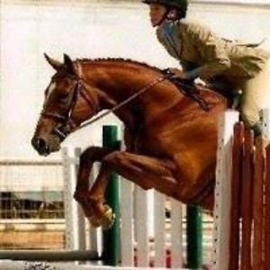 jillbakertraining avatar