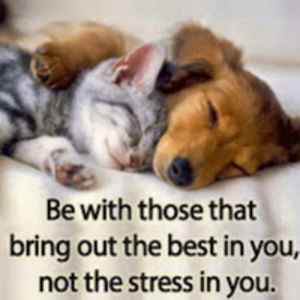 bethanystafford avatar