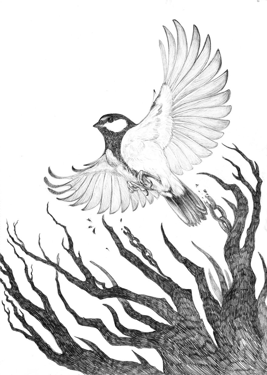 The Story Of The Titmouse That Flew With Eagles