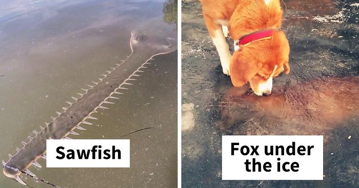 30 Times Nature Made Us Say “NOPE” (WARNING: This List Is Not For Sensitive People)