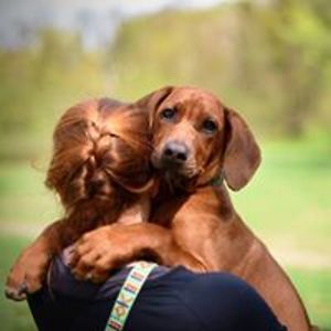 julkahederlingova avatar