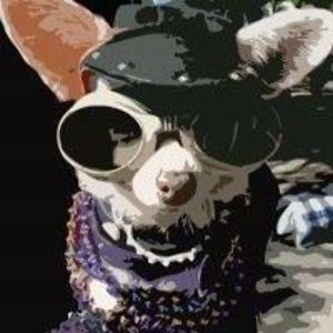 l_korchek_loko avatar