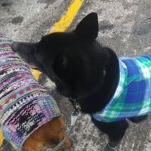 riel_naur_draug avatar