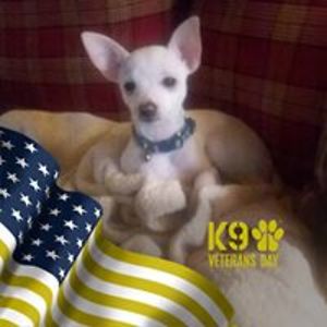 jimmyburkett177 avatar