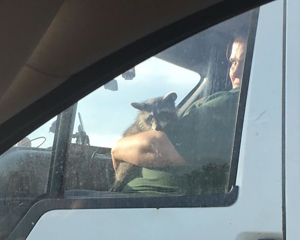 Driving Along The Motorway And Get Overtaken By