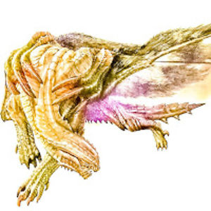 theshagoremagala avatar