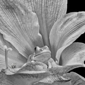 kjellmortenklevsand avatar