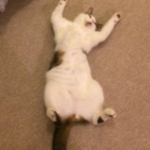 bethanybearne avatar