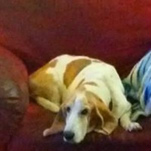 bonnievannaman_1 avatar