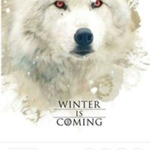 jennifer_levine135 avatar