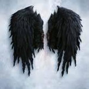 perfectionsparkles1 avatar