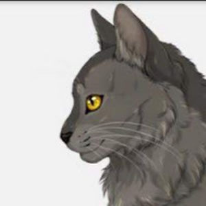 sierraroseyyy avatar