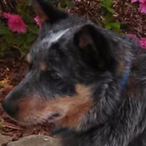 jeanninesmithxxoo avatar