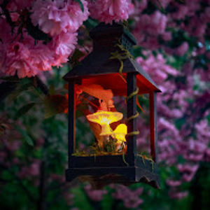 snowmadeworkshop avatar