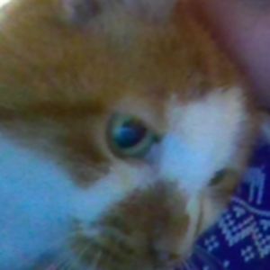 marqueriteslowinski avatar