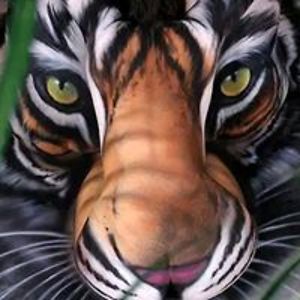 frankozargoza avatar